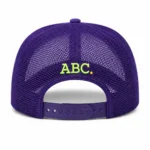 Advisory Board Crystals Passive Thinking Trucker Hat (B)